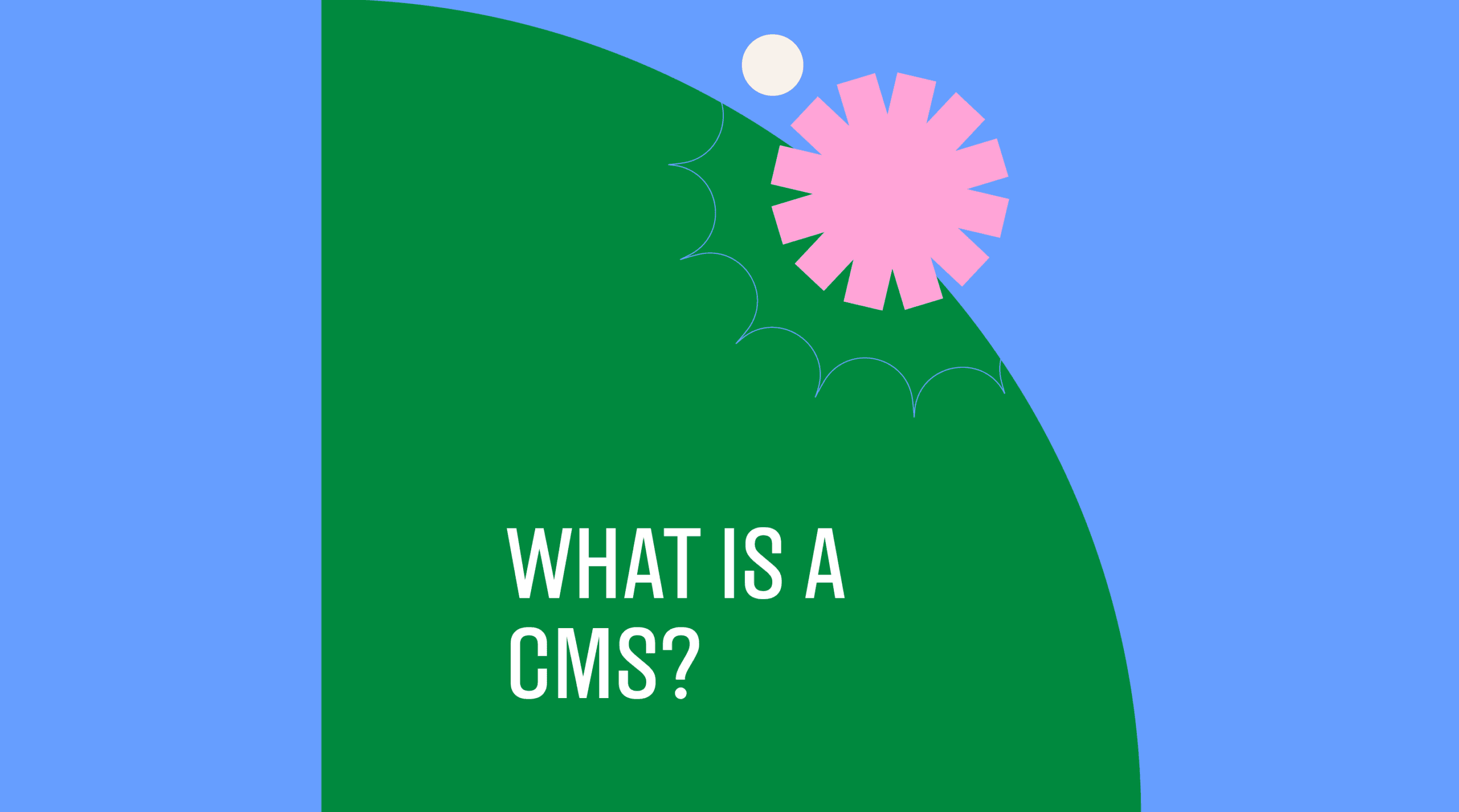 What is a cms standard editorial post 02535