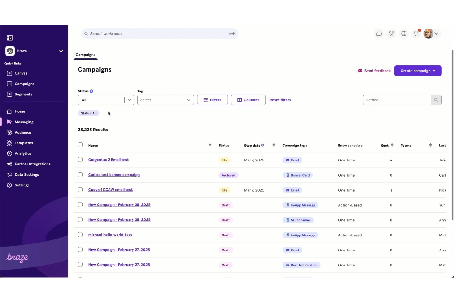 screenshot - Braze Review: Pros, Cons, Features and Pricing