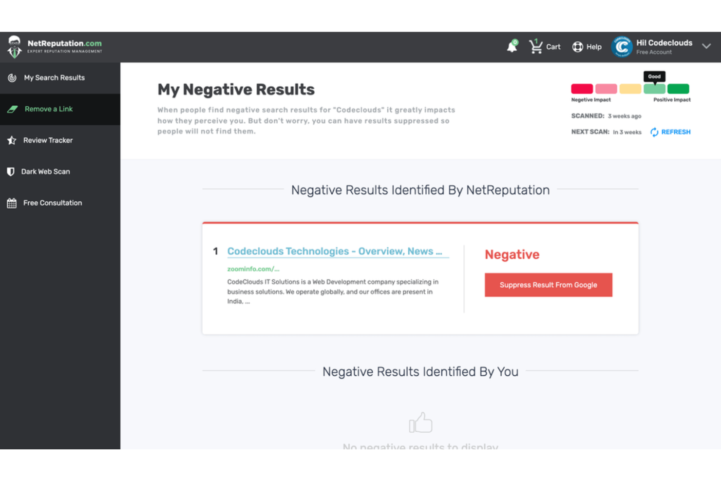 screenshot - NetReputation Review: Key Features, Pros, Cons, and Updated Pricing 2026