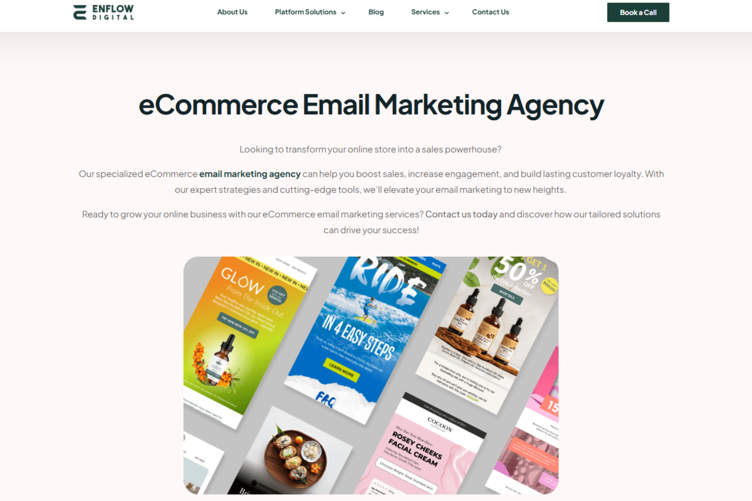 Enflow Digital screenshot - 10 Beste E-Mail-Marketing-Agenturen im Test 2026