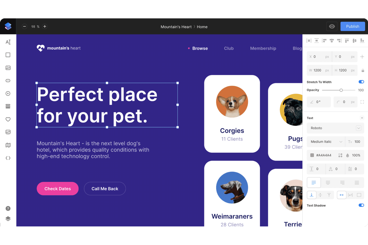 Siter.io screenshot - 10 mejores alternativas a Webflow seleccionadas para 2026