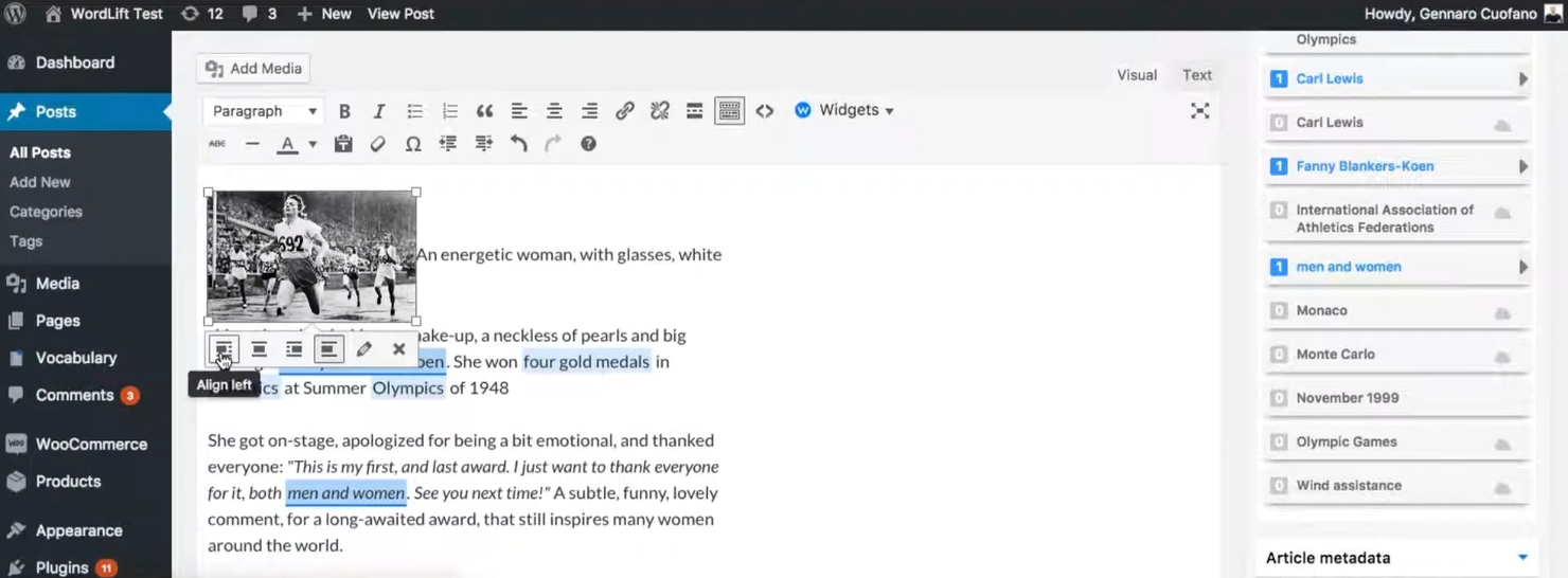 WordLift screenshot - 10 Mejores Herramientas de SEO con IA Analizadas en 2026