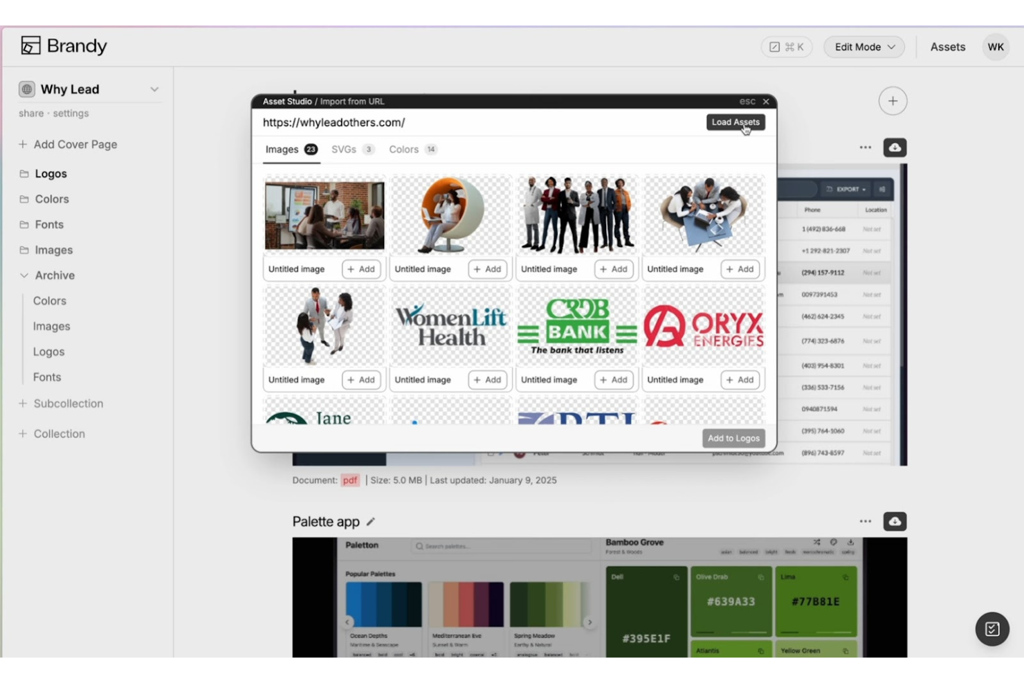 Brandy screenshot - 10 migliori software per la gestione delle risorse del marchio recensiti nel 2026