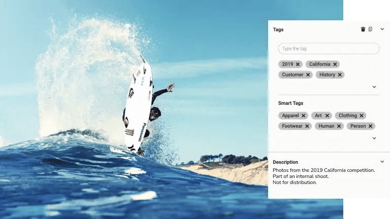 Canto screenshot - 10 migliori software per la gestione delle risorse di marketing del 2026