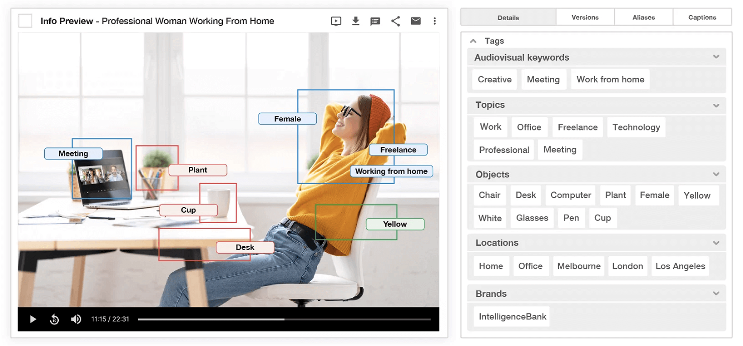 IntelligenceBank screenshot - 10 Mejores Programas de Gestión de Recursos de Marketing de 2026