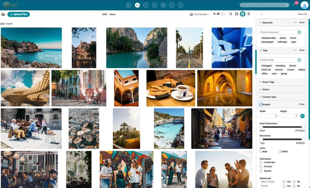 Canto screenshot - 10 Mejores Software de Gestión de Marca Analizados para 2026
