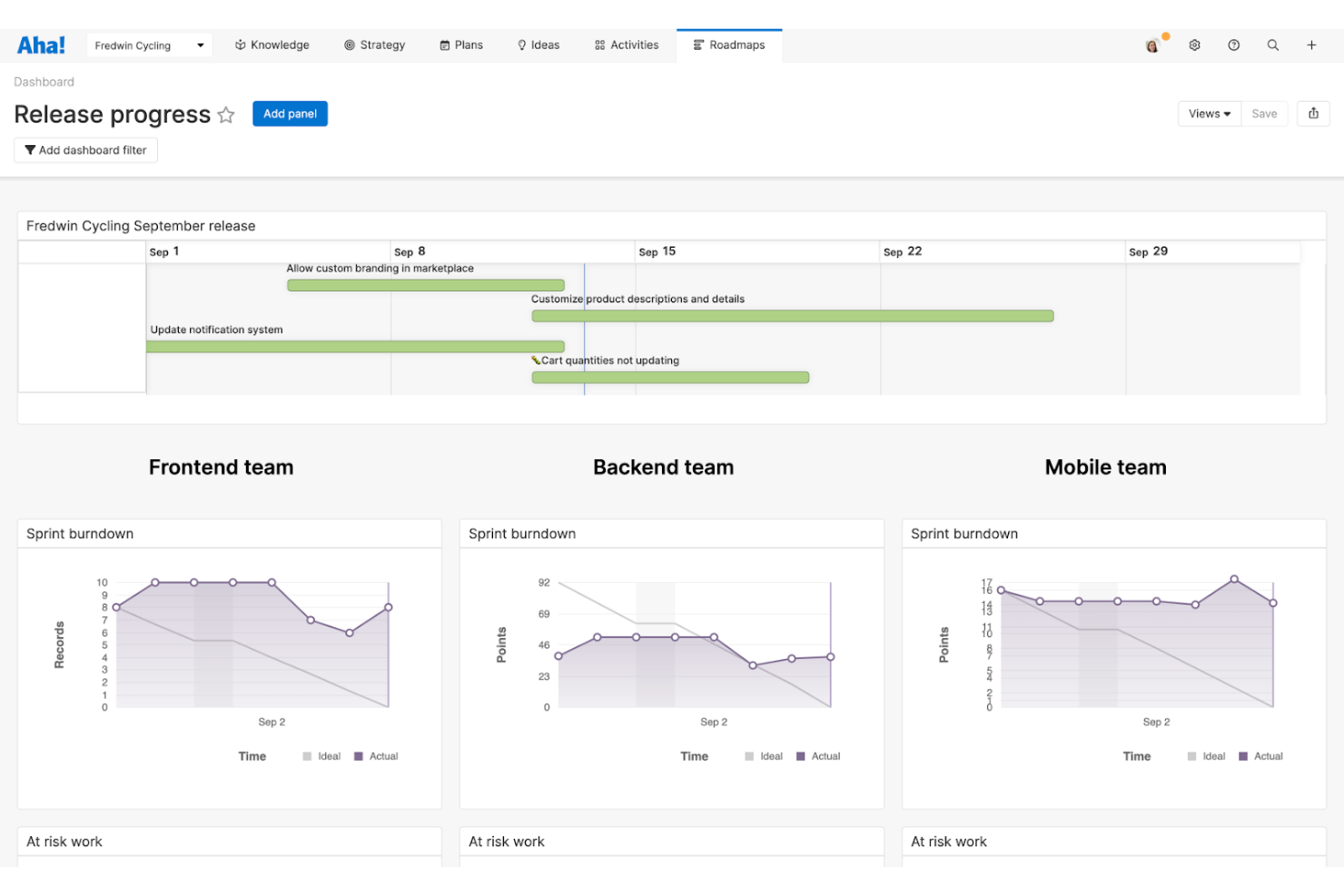 Aha! screenshot - 18 Best Asana Alternatives Reviewed in 2026