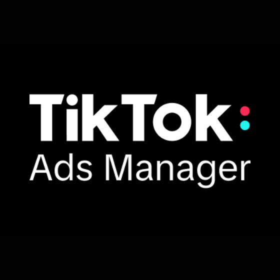 TikTok Ads Manager