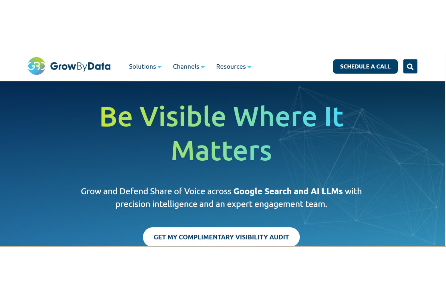 GrowByData is a marketing intelligence software that delivers data analytics and insights for e-commerce and marketing teams.