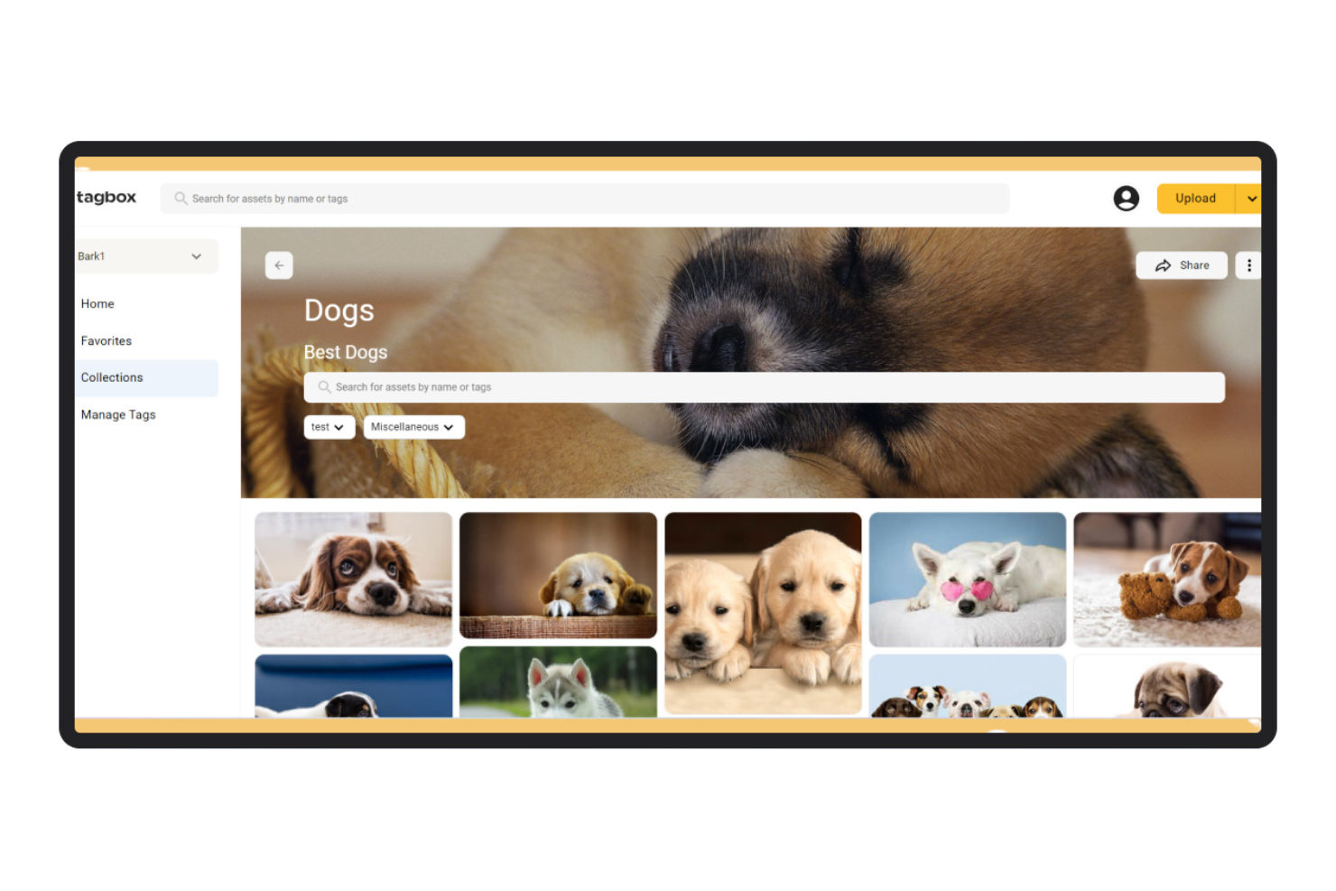 Tagbox.io screenshot - 14 Best Marketing Asset Management Software Of 2026