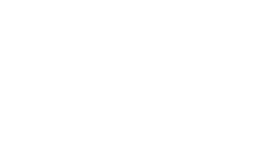 Black & White Zebra Logo