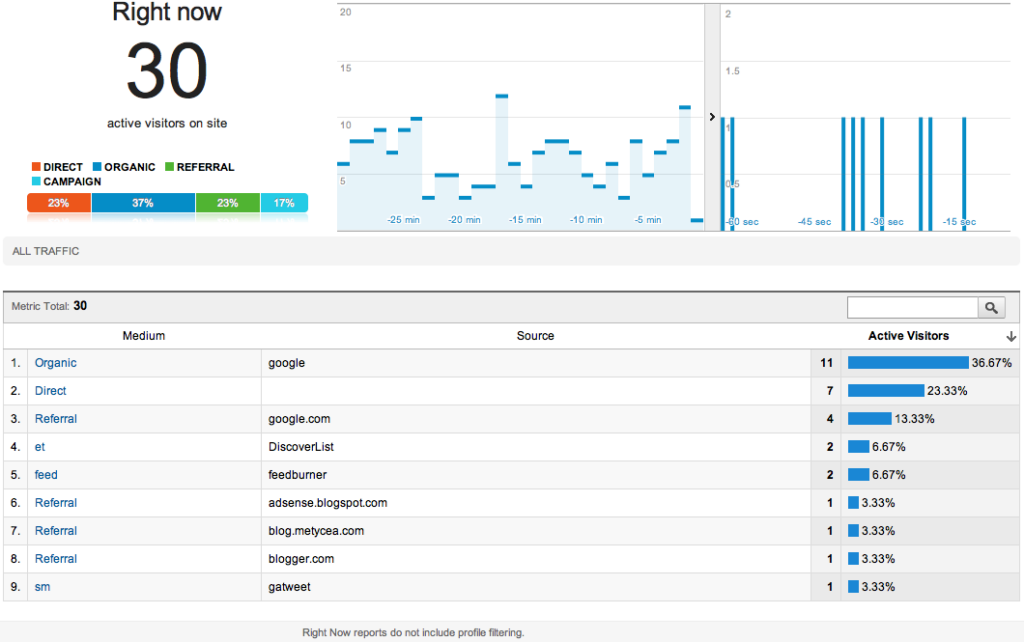 Google Analytics Review Screenshot Showing Real-Time Reports