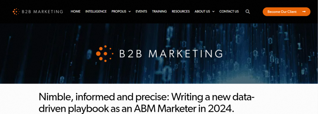 Writing a New Data-Driven Playbook as an ABM Marketer website screenshot